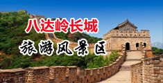操哭了在线看中国北京-八达岭长城旅游风景区