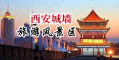 尻屄动态图中国陕西-西安城墙旅游风景区
